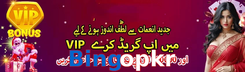 Bingopkr